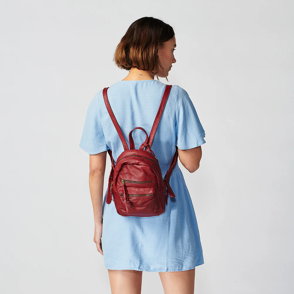 The Mini Californian - Image 57