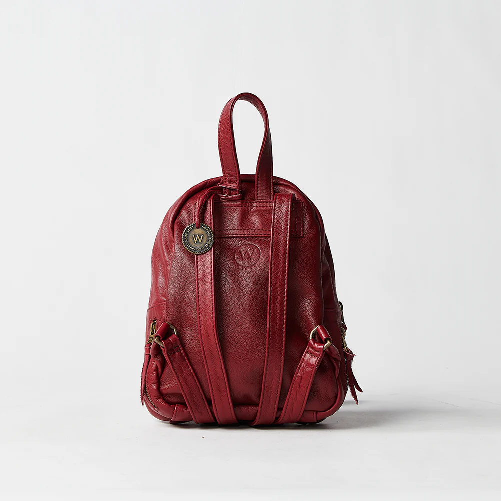 The Mini Californian - Image 8