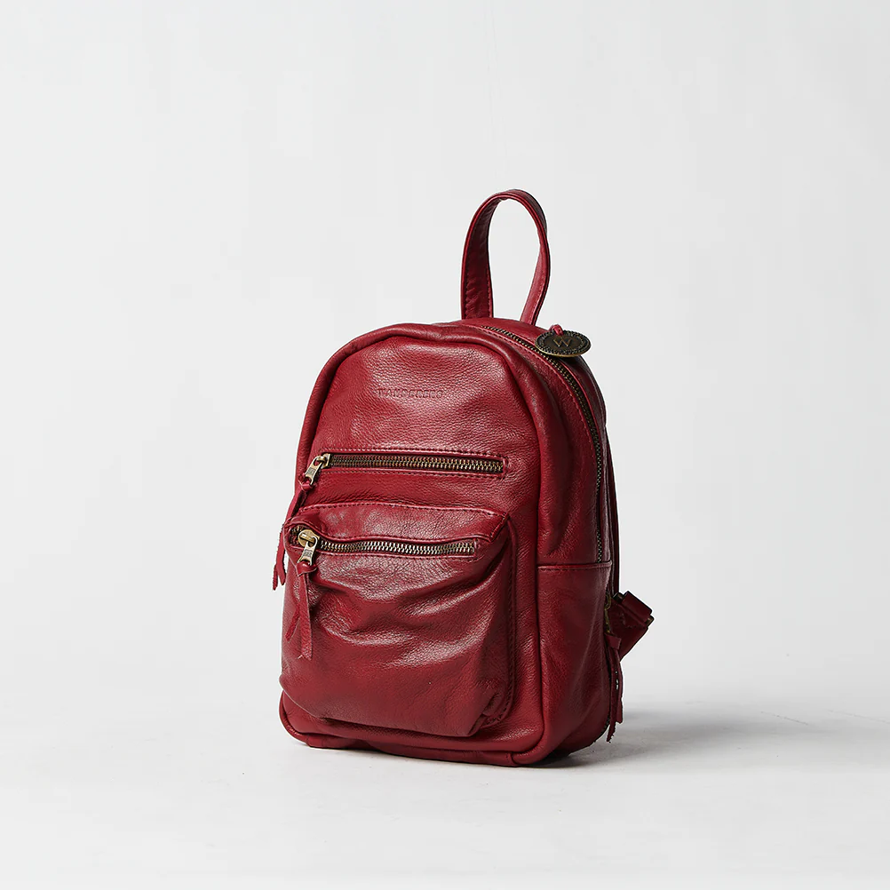 The Mini Californian - Image 9